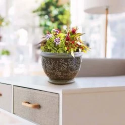 Southern Patio Gracie 8 in. x 6.1 in. Brown Ceramic Indoor Pot (2-Pack) -Achla Designs Shop brown southern patio plant pots crm 047063p2 a0 1000