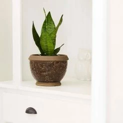 Southern Patio Gracie 8 in. x 6.1 in. Brown Ceramic Indoor Pot (2-Pack) -Achla Designs Shop brown southern patio plant pots crm 047063p2 c3 1000