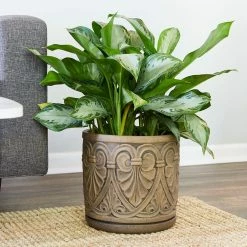 Southern Patio Roman 12 in. x 12 in. Brown Ceramic Indoor Pot -Achla Designs Shop brown southern patio plant pots crm 081548 31 1000