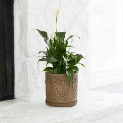 Southern Patio Roman 12 in. x 12 in. Brown Ceramic Indoor Pot -Achla Designs Shop brown southern patio plant pots crm 081548 44 1000