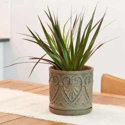 Southern Patio Roman 12 in. x 12 in. Brown Ceramic Indoor Pot -Achla Designs Shop brown southern patio plant pots crm 081548 a0 1000