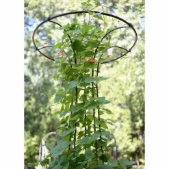 Achla Designs Elegant Garden Mushroom Trellis, 72 in. Tall Roman Bronze Powder Coat Finish 12 Achla Designs Elegant Garden Mushroom Trellis, 72 in. Tall Roman Bronze Powder Coat Finish -Achla Designs Shop browns tans achla designs garden trellises pyl 09 44 1000