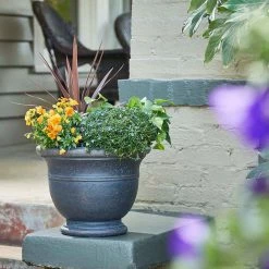 Southern Patio Jean Pierre Large 19 in. x 14.5 in. Brownstone Resin Composite Planter 16 Southern Patio Jean Pierre Large 19 in. x 14.5 in. Brownstone Resin Composite Planter -Achla Designs Shop brownstone southern patio plant pots cmx 054726 1d 1000