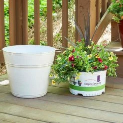 Southern Patio Rosemary 12.1 in. x 10.9 in. Chalk High-Density Resin Planter Fits 12 in. Drop N'Bloom -Achla Designs Shop chalk southern patio plant pots hdr 052784 fa 1000