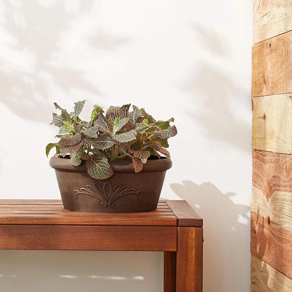 Arcadia Garden Products 8 in. x 3 in. Chocolate PSW Bulb Pan Pot 4 Arcadia Garden Products 8 in. x 3 in. Chocolate PSW Bulb Pan Pot - Image 2