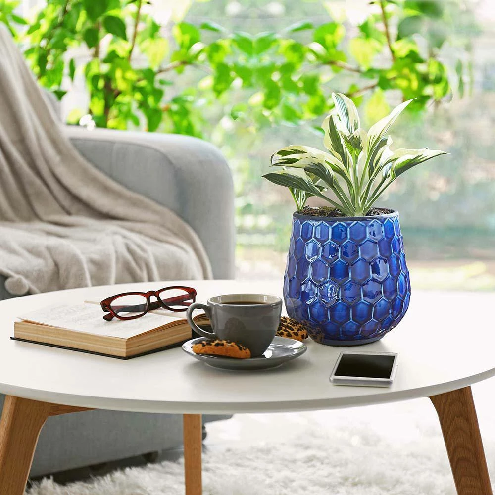 Southern Patio Honeycomb 8 in. Dia Cobalt Blue Ceramic Indoor Pot (2-Pack) 8 Southern Patio Honeycomb 8 in. Dia Cobalt Blue Ceramic Indoor Pot (2-Pack) - Image 6