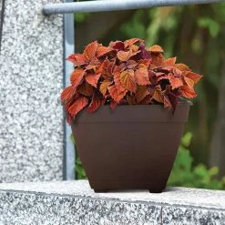 Southern Patio Newbury 14.88 in. x 11 in. Cocoa Resin Deck Box Planter -Achla Designs Shop cocoa southern patio plant pots nq1510co e1 1000