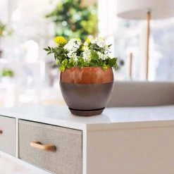 Southern Patio Kendall 7.87 in. x 7.09 in. Copper Ceramic Indoor Egg Planter (2-Pack) 20 Southern Patio Kendall 7.87 in. x 7.09 in. Copper Ceramic Indoor Egg Planter (2-Pack) -Achla Designs Shop copper southern patio plant pots crm 031123p2 1d 1000