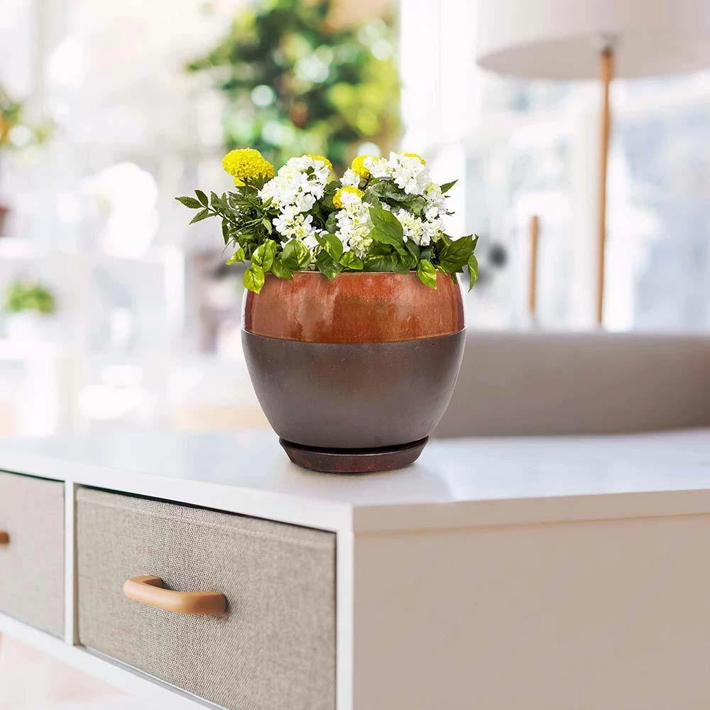 Southern Patio Kendall 7.87 in. x 7.09 in. Copper Ceramic Indoor Egg Planter (2-Pack) 7 Southern Patio Kendall 7.87 in. x 7.09 in. Copper Ceramic Indoor Egg Planter (2-Pack) - Image 5