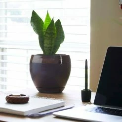 Southern Patio Kendall 7.87 in. x 7.09 in. Copper Ceramic Indoor Egg Planter (2-Pack) 25 Southern Patio Kendall 7.87 in. x 7.09 in. Copper Ceramic Indoor Egg Planter (2-Pack) -Achla Designs Shop copper southern patio plant pots crm 031123p2 1f 1000