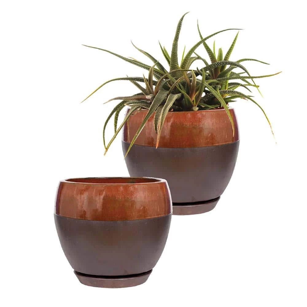 Southern Patio Kendall 7.87 in. x 7.09 in. Copper Ceramic Indoor Egg Planter (2-Pack) 3 Southern Patio Kendall 7.87 in. x 7.09 in. Copper Ceramic Indoor Egg Planter (2-Pack)