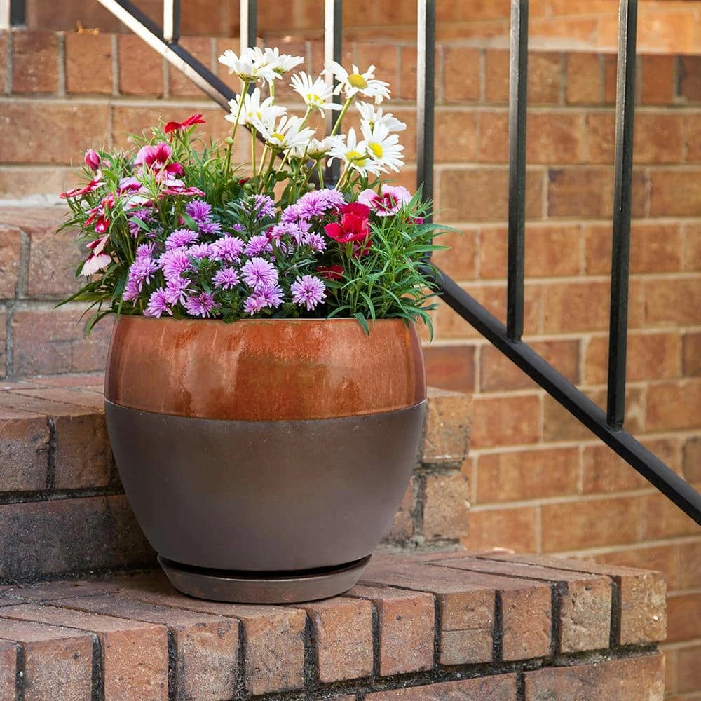Southern Patio Kendall 7.87 in. x 7.09 in. Copper Ceramic Indoor Egg Planter (2-Pack) 4 Southern Patio Kendall 7.87 in. x 7.09 in. Copper Ceramic Indoor Egg Planter (2-Pack) - Image 2