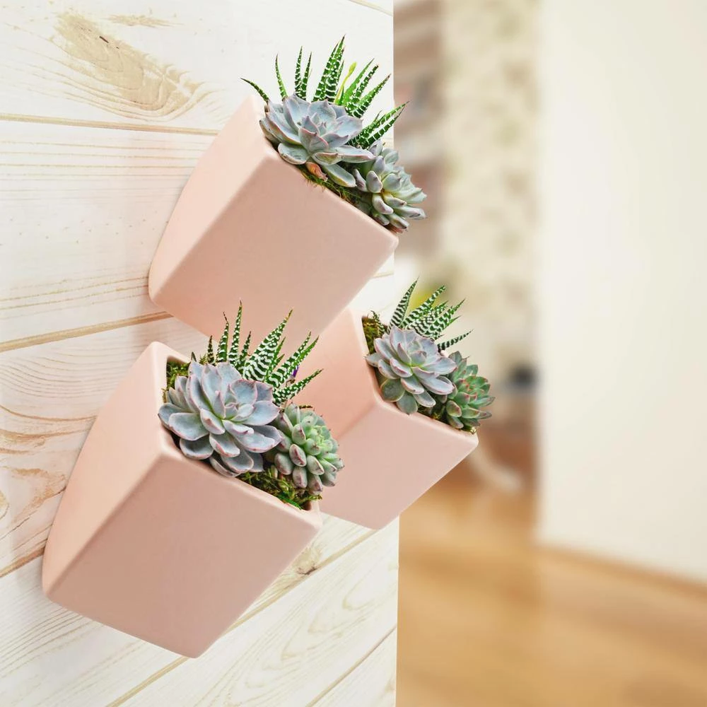 Arcadia Garden Products Cube 3-1/2 in. x 4 in. Coral Ceramic Wall Planter 4 Arcadia Garden Products Cube 3-1/2 in. x 4 in. Coral Ceramic Wall Planter - Image 2