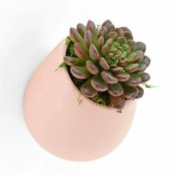 Arcadia Garden Products Round 3-1/2 in. x 4 in. Coral Ceramic Wall Planter -Achla Designs Shop coral matte arcadia garden products wall planters wp13cl 44 1000