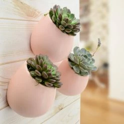 Arcadia Garden Products Round 3-1/2 in. x 4 in. Coral Ceramic Wall Planter -Achla Designs Shop coral matte arcadia garden products wall planters wp13cl e1 1000