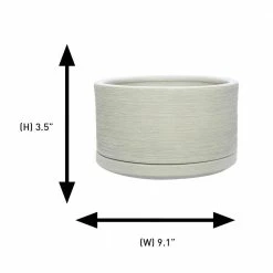 Southern Patio Liesl 5.9 in. x 3.5 in. Beige Ceramic Indoor Succulent Planter -Achla Designs Shop cream southern patio plant pots crm 057789 40 1000