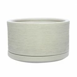 Achla Designs Shop 31 Southern Patio Liesl 5.9 in. x 3.5 in. Beige Ceramic Indoor Succulent Planter