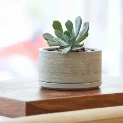 Achla Designs Shop -Achla Designs Shop cream southern patio plant pots crm 057789 e1 1000