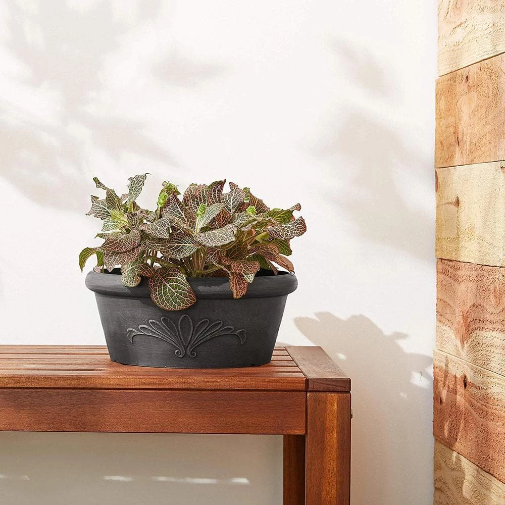 Arcadia Garden Products 8 in. x 3 in. Dark Charcoal PSW Bulb Pan Pot 4 Arcadia Garden Products 8 in. x 3 in. Dark Charcoal PSW Bulb Pan Pot - Image 2