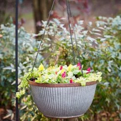 Southern Patio Westlake 12.5 in. Silver with Bronze Trim High-Density Resin Hanging Basket Planter 14 Southern Patio Westlake 12.5 in. Silver with Bronze Trim High-Density Resin Hanging Basket Planter -Achla Designs Shop galvanized southern patio hanging planters hdr 054801 a0 1000