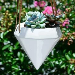 Arcadia Garden Products Diamond 4-1/2 in. x 4-1/2 in. Gloss White Ceramic Hanging Planter -Achla Designs Shop gloss arcadia garden products hanging planters ap12w 31 1000