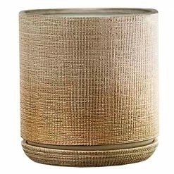 Southern Patio Sherry 6 in. x 6 in. Gold Ceramic Indoor Pot