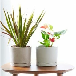 Southern Patio Italio 6.3 in. x 5.2 in. Gray Concrete Indoor Planter -Achla Designs Shop gray southern patio plant pots grc 081517 a0 1000