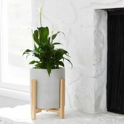 Southern Patio Cylinder 8.8 in. x 9.75 in. Gray Concrete Tall Indoor Planter with Stand -Achla Designs Shop gray southern patio plant pots grc 081630 66 1000