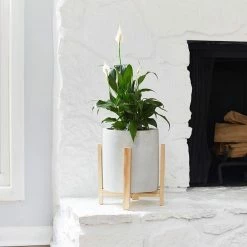 Southern Patio Cylinder 8.8 in. x 9.75 in. Gray Concrete Tall Indoor Planter with Stand -Achla Designs Shop gray southern patio plant pots grc 081630 a0 1000