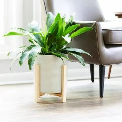 Southern Patio Cylinder 8.8 in. x 9.75 in. Gray Concrete Tall Indoor Planter with Stand -Achla Designs Shop gray southern patio plant pots grc 081630 c3 1000