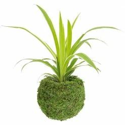 Arcadia Garden Products Kokedama 4 in. x 3-1/2 in. Metal Sphere Moss Ball Planter (2-Pack) -Achla Designs Shop green arcadia garden products plant pots ko01 2 44 1000