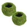 Arcadia Garden Products Kokedama 4 in. x 3-1/2 in. Metal Sphere Moss Ball Planter (2-Pack) -Achla Designs Shop green arcadia garden products plant pots ko01 2 64 1000
