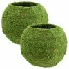 Arcadia Garden Products Kokedama 12 in. x 10-1/2 in. Metal Sphere Moss Ball Planter (2-Pack) -Achla Designs Shop green arcadia garden products plant pots ko04 2 64 1000