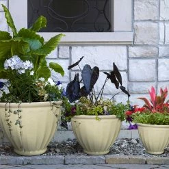 Southern Patio Caylo 10 in. x 7.33 in. Irish Cream Resin Composite Glaze Planter 16 Southern Patio Caylo 10 in. x 7.33 in. Irish Cream Resin Composite Glaze Planter -Achla Designs Shop irish cream southern patio plant pots hdp 021131 33 76 1000