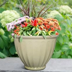 Southern Patio Caylo 10 in. x 7.33 in. Irish Cream Resin Composite Glaze Planter 12 Southern Patio Caylo 10 in. x 7.33 in. Irish Cream Resin Composite Glaze Planter -Achla Designs Shop irish cream southern patio plant pots hdp 021131 33 e1 1000