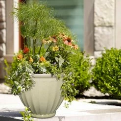 Southern Patio Caylo 10 in. x 7.33 in. Irish Cream Resin Composite Glaze Planter 15 Southern Patio Caylo 10 in. x 7.33 in. Irish Cream Resin Composite Glaze Planter -Achla Designs Shop irish cream southern patio plant pots hdp 021131 33 fa 1000