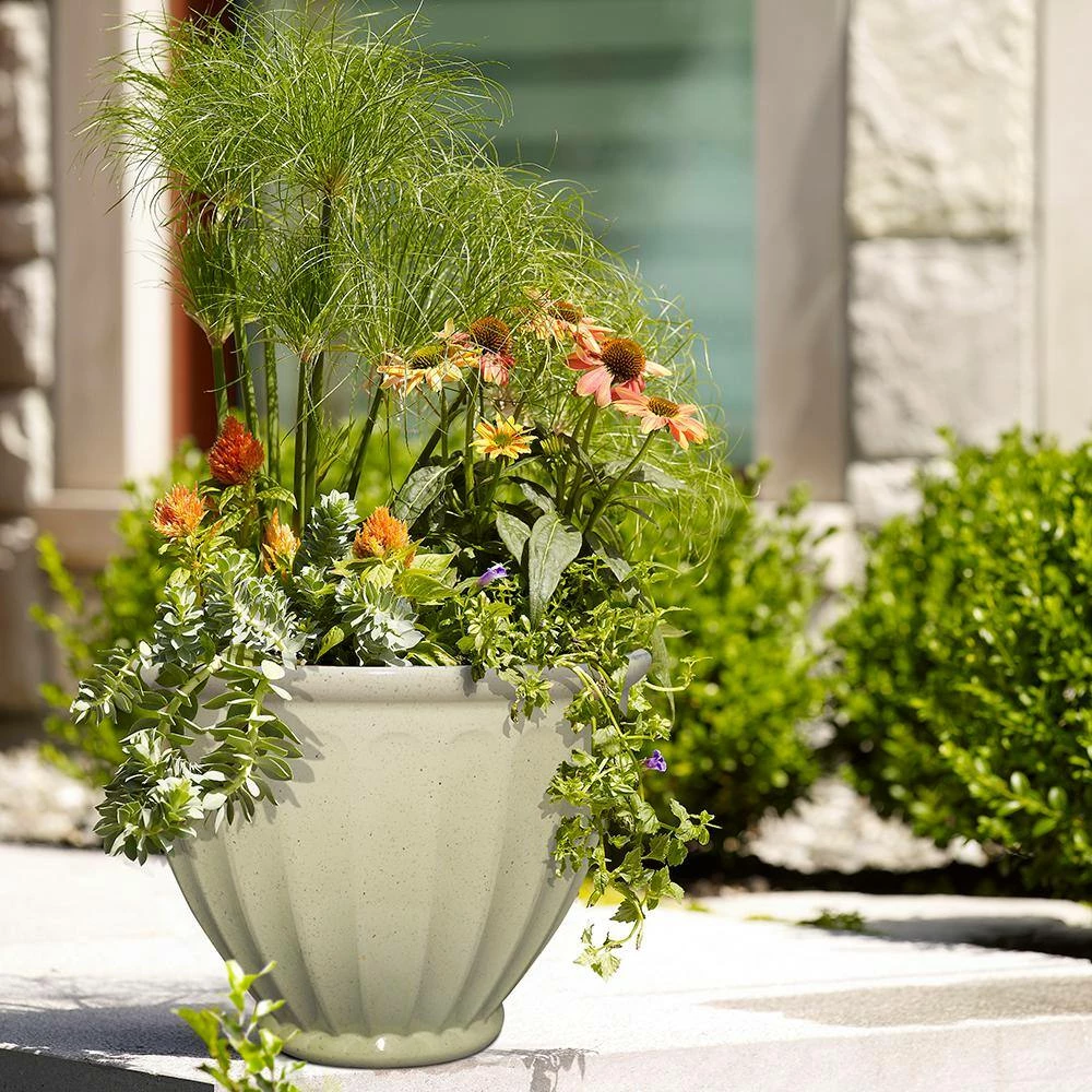 Southern Patio Caylo 10 in. x 7.33 in. Irish Cream Resin Composite Glaze Planter 7 Southern Patio Caylo 10 in. x 7.33 in. Irish Cream Resin Composite Glaze Planter - Image 5