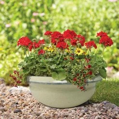 Southern Patio 15 in. Caylo Planter 19 in. Caylo Planter 16 in. Sydney Bowl Resin Composite Patio Pack (Pack of 3) -Achla Designs Shop irish cream southern patio plant pots hdp 046967pp 31 1000