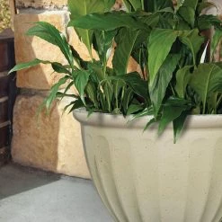 Southern Patio 15 in. Caylo Planter 19 in. Caylo Planter 16 in. Sydney Bowl Resin Composite Patio Pack (Pack of 3) -Achla Designs Shop irish cream southern patio plant pots hdp 046967pp 76 1000