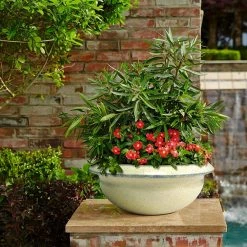 Southern Patio 15 in. Caylo Planter 19 in. Caylo Planter 16 in. Sydney Bowl Resin Composite Patio Pack (Pack of 3) -Achla Designs Shop irish cream southern patio plant pots hdp 046967pp fa 1000