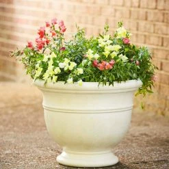 Southern Patio Jean Pierre Large 14.96 in. 11.5 in. Ivory Resin Composite Planter -Achla Designs Shop ivory southern patio plant pots cmx 054696 d4 1000