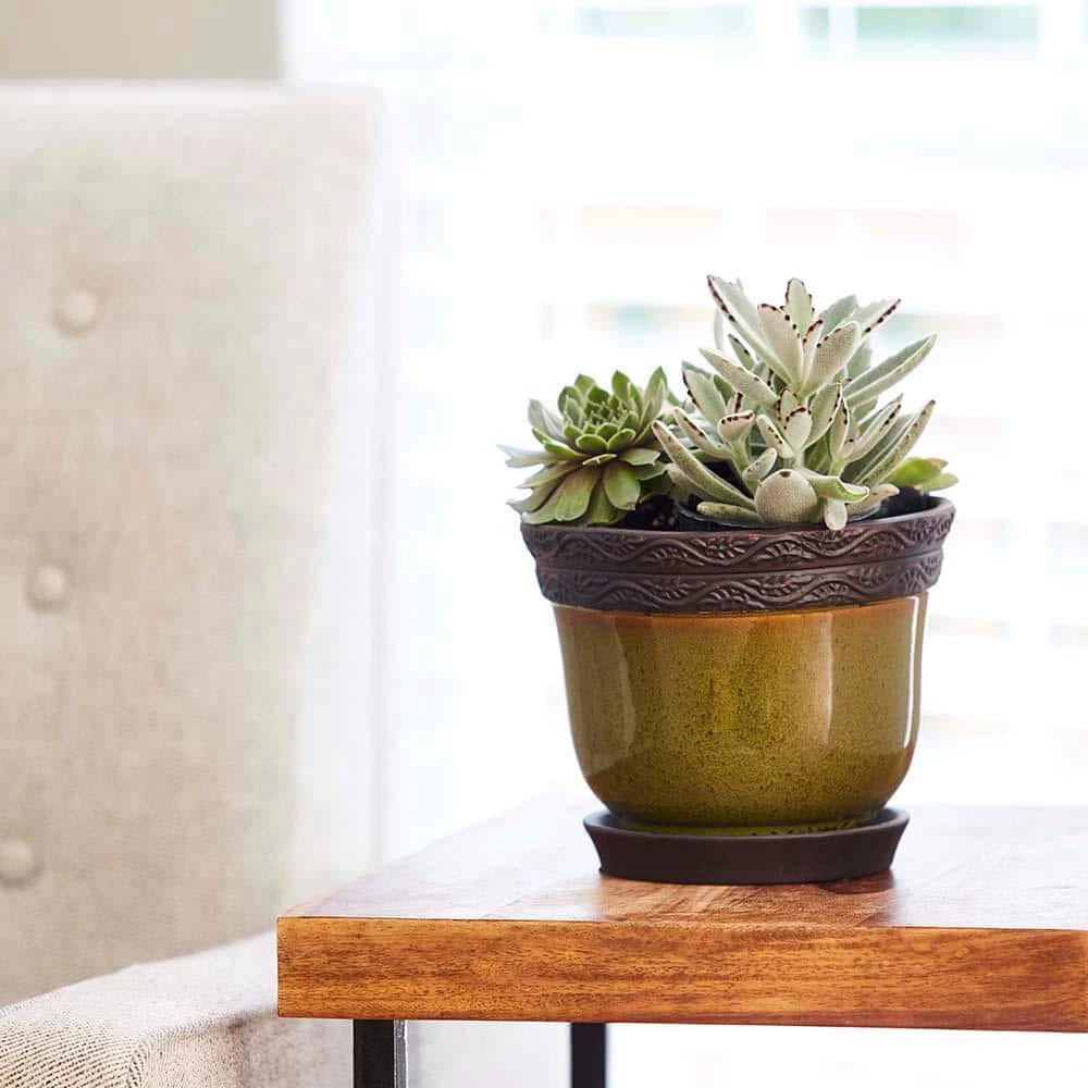Southern Patio Reserva 11.81 in. x 8.86 in. Jade Ceramic Indoor Planter Pot 4 Southern Patio Reserva 11.81 in. x 8.86 in. Jade Ceramic Indoor Planter Pot - Image 2