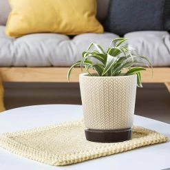 Southern Patio Alice 7.6 in. x 8.7 in. Light Brown Ceramic Indoor Pot (2-Pack) 20 Southern Patio Alice 7.6 in. x 8.7 in. Light Brown Ceramic Indoor Pot (2-Pack) -Achla Designs Shop light brown southern patio plant pots crm 064800a 31 1000