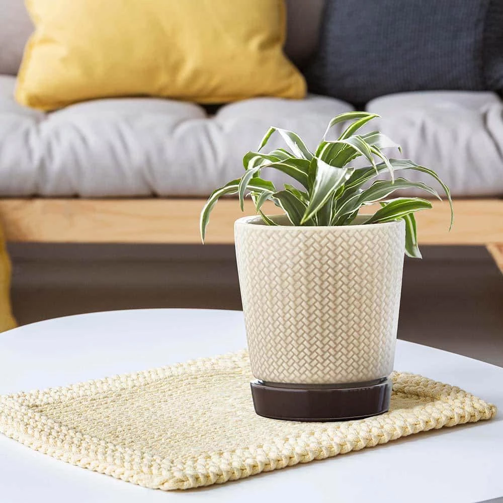 Southern Patio Alice 7.6 in. x 8.7 in. Light Brown Ceramic Indoor Pot (2-Pack) 11 Southern Patio Alice 7.6 in. x 8.7 in. Light Brown Ceramic Indoor Pot (2-Pack) - Image 9