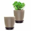 Southern Patio Alice 7.6 in. x 8.7 in. Light Brown Ceramic Indoor Pot (2-Pack) 2 Southern Patio Alice 7.6 in. x 8.7 in. Light Brown Ceramic Indoor Pot (2-Pack) -Achla Designs Shop light brown southern patio plant pots crm 064800a 64 1000