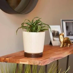 Southern Patio Alice 7.6 in. x 8.7 in. Light Brown Ceramic Indoor Pot (2-Pack) 15 Southern Patio Alice 7.6 in. x 8.7 in. Light Brown Ceramic Indoor Pot (2-Pack) -Achla Designs Shop light brown southern patio plant pots crm 064800a a0 1000