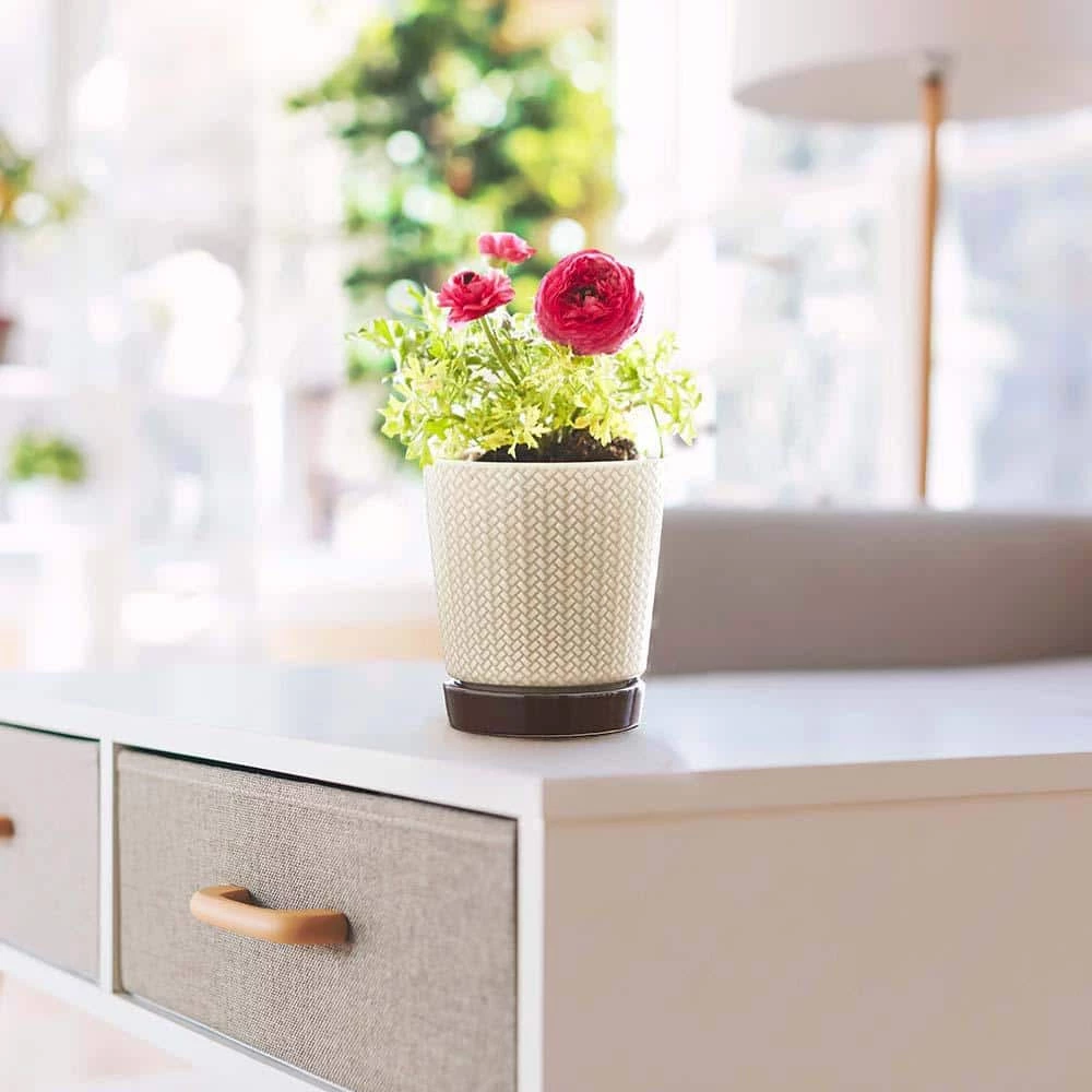 Southern Patio Alice 7.6 in. x 8.7 in. Light Brown Ceramic Indoor Pot (2-Pack) 4 Southern Patio Alice 7.6 in. x 8.7 in. Light Brown Ceramic Indoor Pot (2-Pack) - Image 2