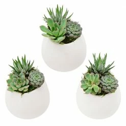 Arcadia Garden Products Round 3-1/2 in. x 4 in. Matte White Ceramic Wall Planter (3-Piece) -Achla Designs Shop matte white arcadia garden products wall planters wp29 31 1000