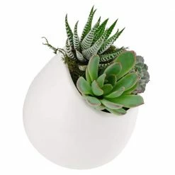 Arcadia Garden Products Round 3-1/2 in. x 4 in. Matte White Ceramic Wall Planter (3-Piece) -Achla Designs Shop matte white arcadia garden products wall planters wp29 76 1000