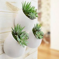 Arcadia Garden Products Round 3-1/2 in. x 4 in. Matte White Ceramic Wall Planter (3-Piece) -Achla Designs Shop matte white arcadia garden products wall planters wp29 e1 1000